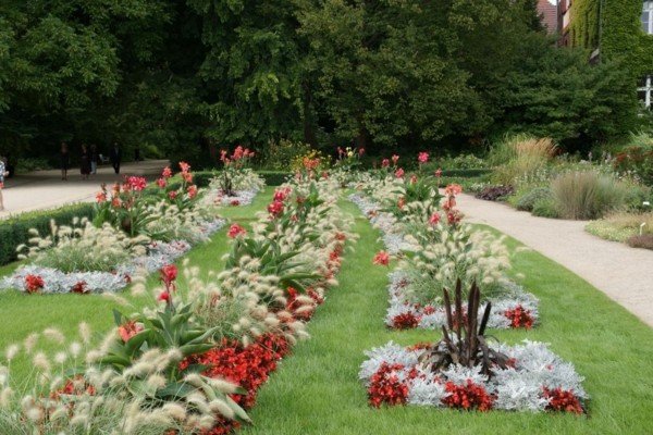 Sevärdheter Berlins botaniska trädgård