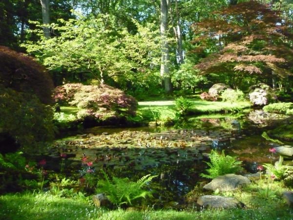 vackra botaniska trädgårdar