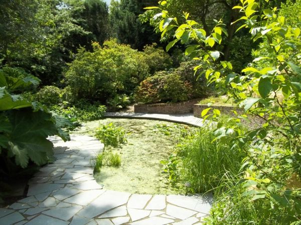 botaniska trädgården Nederländerna