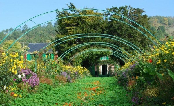 Vårblommor i Monets trädgård