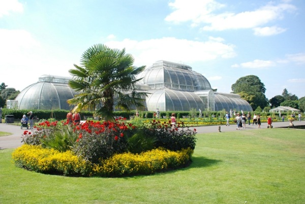 botaniska trädgården england