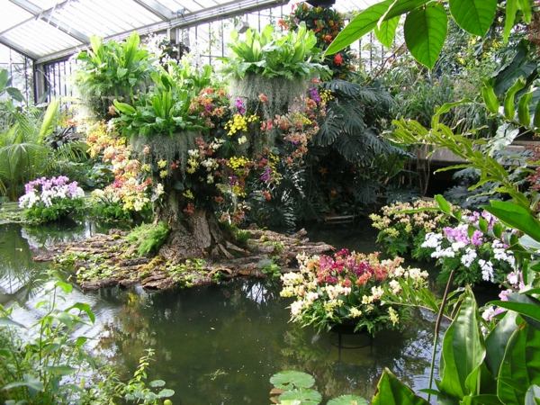 färska blommor växt trädgård