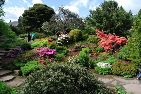 Växter typer botanisk trädgård England
