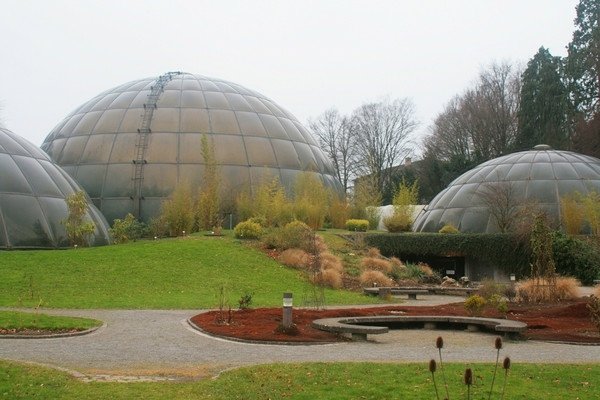 Botaniska trädgården Zürich Schweiz