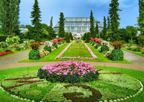 botaniska trädgården Berlin Tyskland