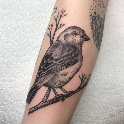 Τατουάζ Sparrow που σημαίνει και σχέδια 6