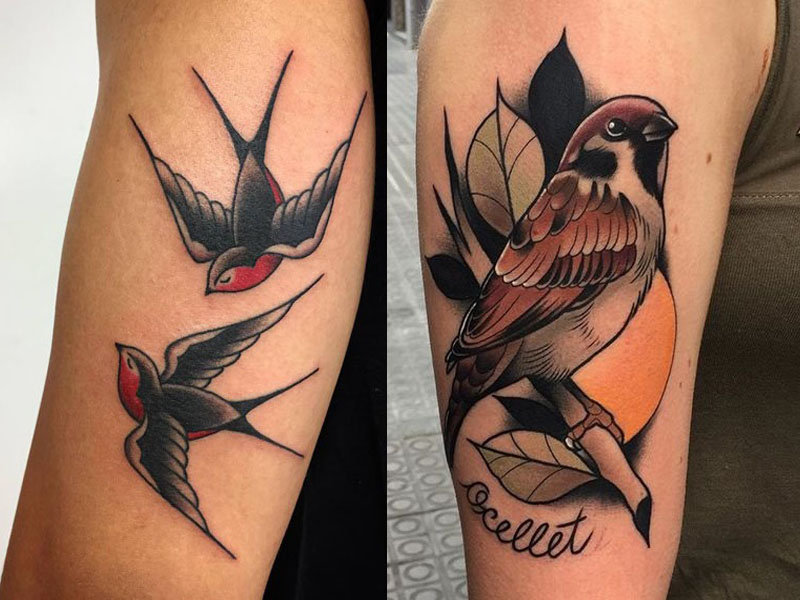 Τατουάζ Sparrow Σημασία Και Σχέδια