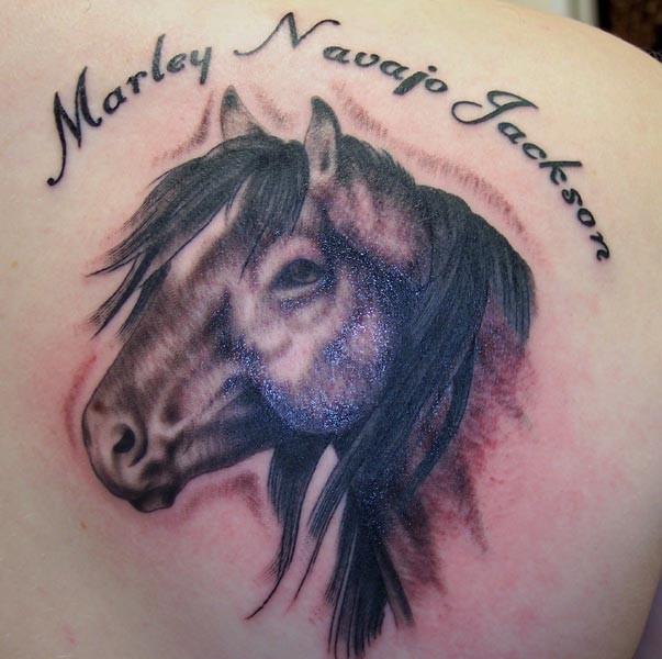 Τατουάζ αλόγου με σχέδιο στην πλάτη σας