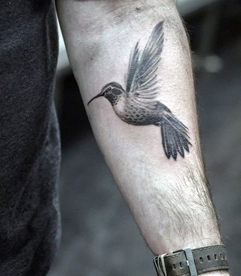 Σχέδια τατουάζ Hummingbird 2
