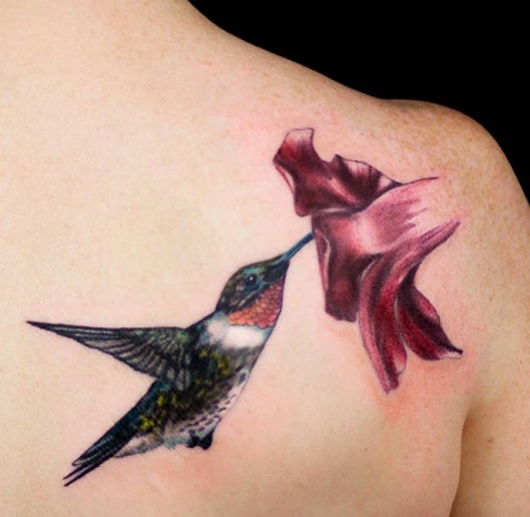 Ταΐζοντας κολιμπρί τατουάζ στην πλάτη