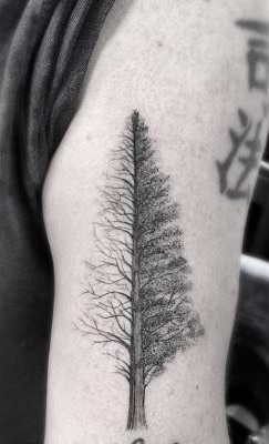 Abstrakti puu tatuointi