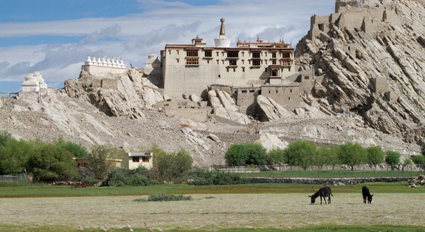 shey-palace_ladakh-tourist-places