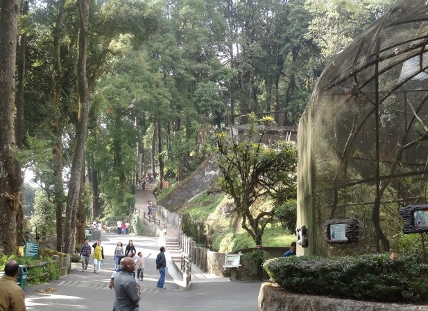 padmaja-naidu-himalayan-zoological-park_darjeeling-τουριστικά μέρη
