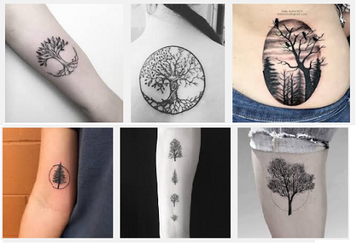 paras-puu-tatuointi-mallit-merkityksillä