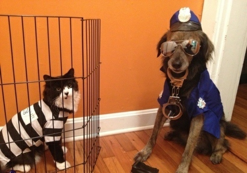 Idé Halloween -polismannen fången