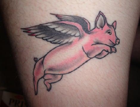 Toiminta lentää Pig Tattoo
