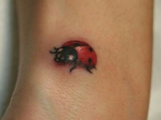 Pieni 3D Lady Bug Tattoo Design