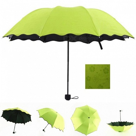 Ever Green Umbrella