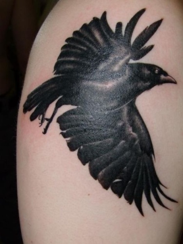 Σχέδιο τατουάζ Raven στον ώμο