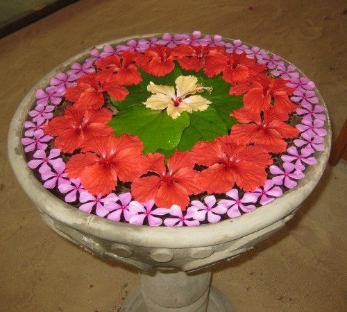 Ειδικά σχέδια Rangoli Rangoli με λουλούδι και νερό