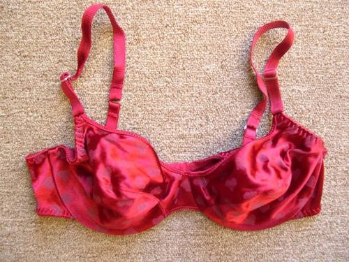 Lovable Padded Underwired Plunge Red Bra