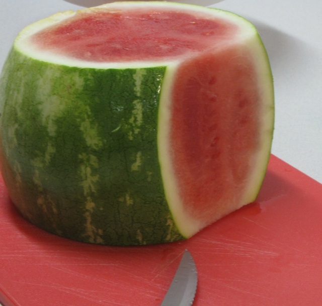 vattenmelonskurna sidor cylinderpajform