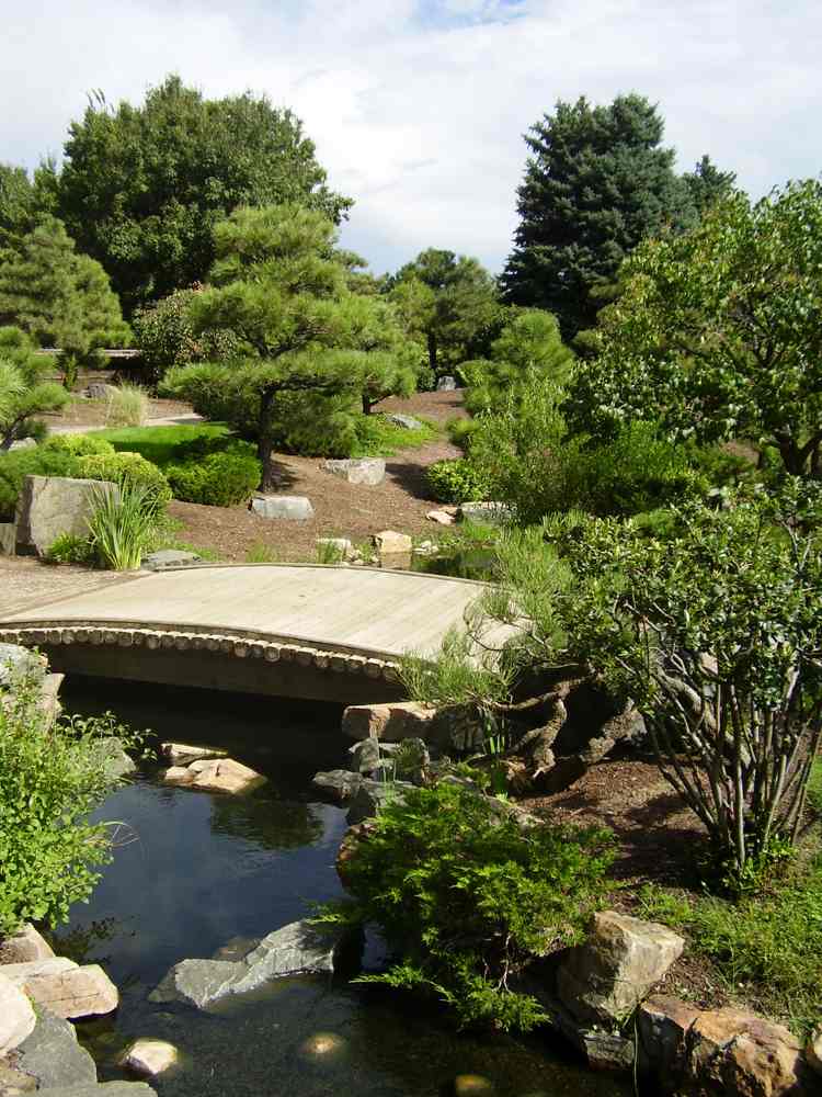 japansk-trädgård-design-naturlig-bro-vatten-stenblock-barrträd