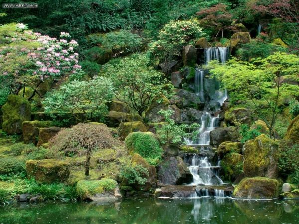 grön trädgård japansk stil