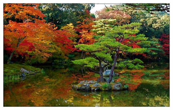 japansk-trädgård-modern-trädgård-design
