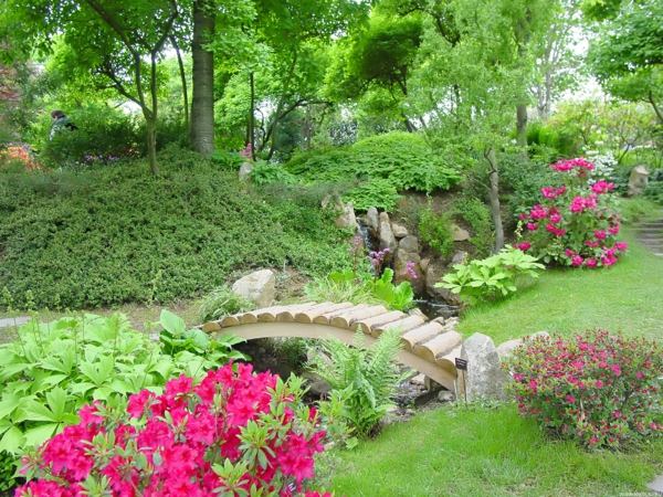 Blomma japansk trädgårdsdesign