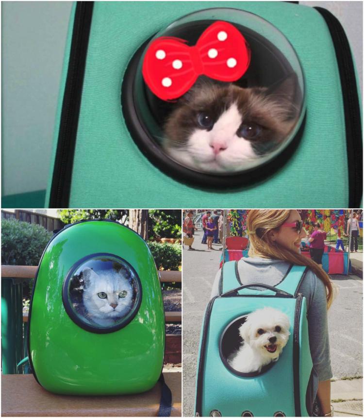 transportväska-katter-små-hundar-upptäck-världen
