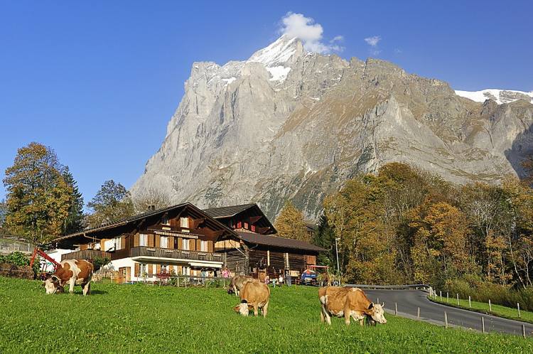 dröm-hus-schweiz-familj-hög-berg-bakgrund