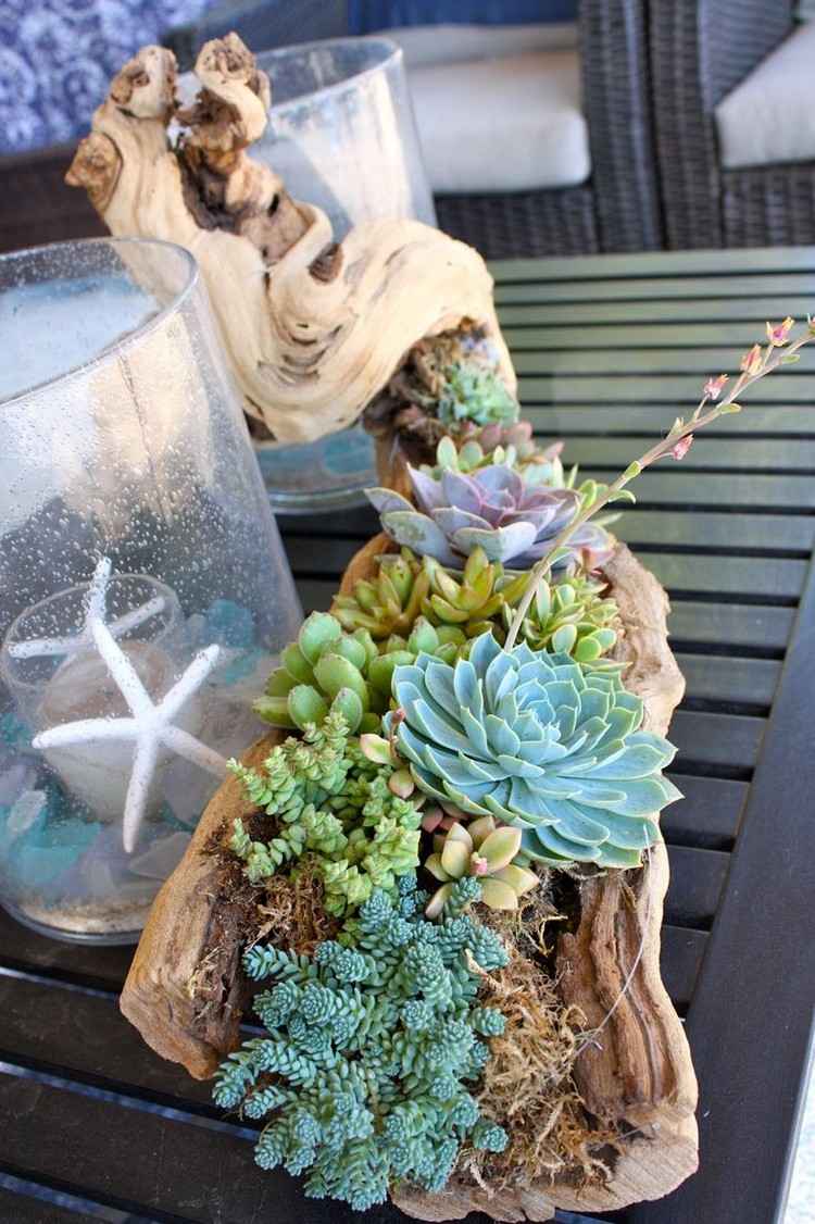 Drivved-deco-bord-succulenter-plantering