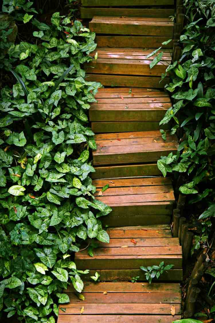 trappor trädgård träplankor trädgårdstrappor murgröna plantering