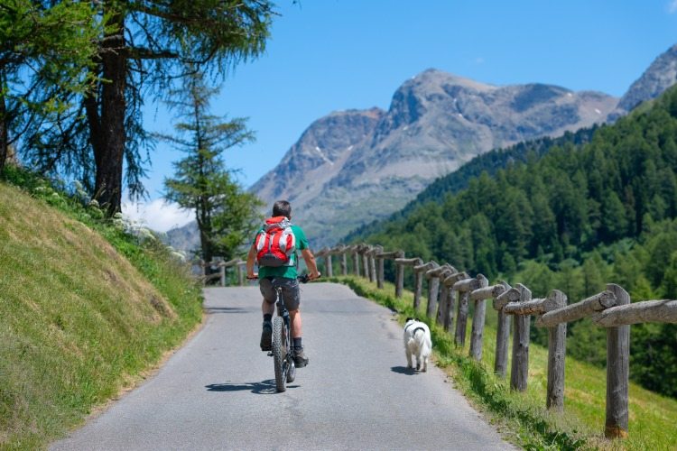 utflykt i bergen man på en cykel följt av sin hund
