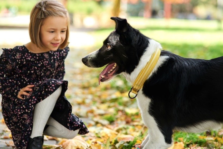 liten flicka som leker med hunden utomhus