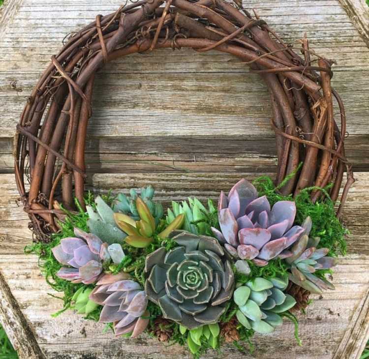 Krans med arrangemang av succulenter i mitten