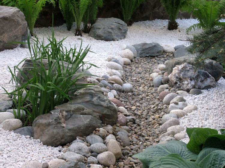 Trockenbach japansk trädgårdsdesign olika typer av stenväxter
