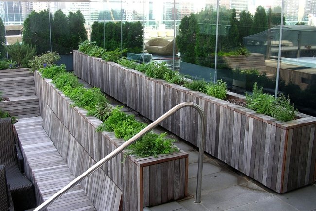 Örträdgård takterrass Manhattan växt behållare terrass form