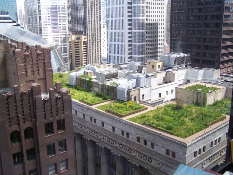 Grönt tak New York gröna tak som bygger ovanför