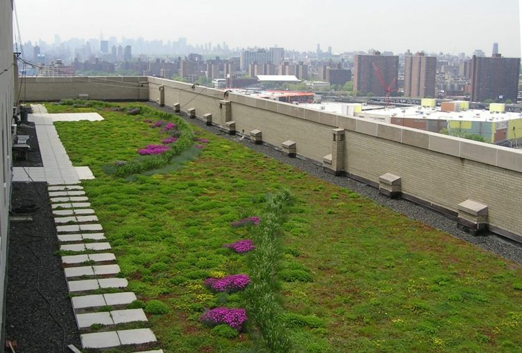 Gröna tak i stora städer Takträdgårdar Gröna tak