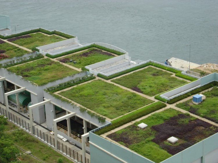 Omfattande användning av grönt tak av takområdet Grönt tak kostar