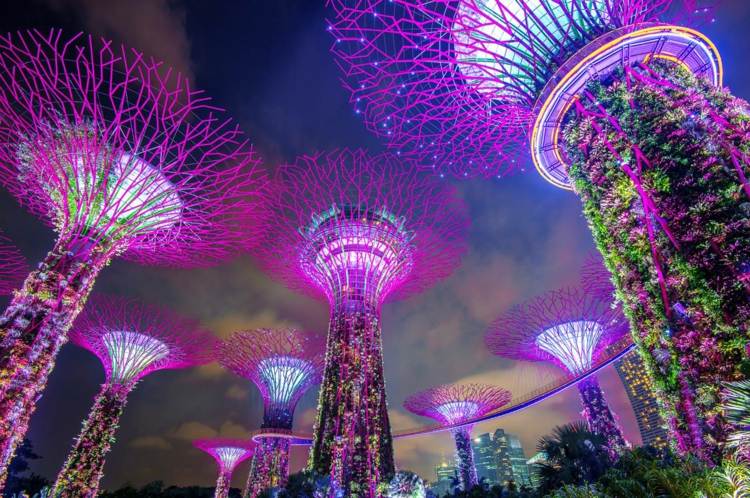 Miljövänliga städer Gör Singapore gröna stad hållbara semester