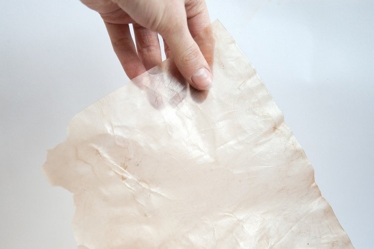Miljövänlig förpackning bakterier jäst ekologisk lagring mat transparent lager material