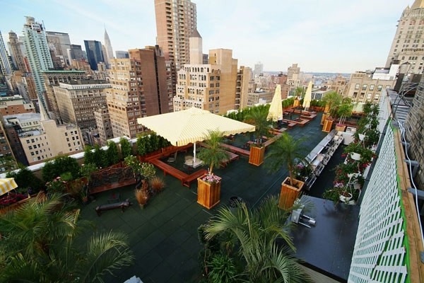 idéer för gröna tak nyc skyline view takterrass möbler