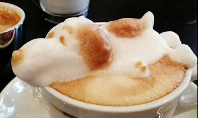 3d latte art kazuki yamamoto mjölkskum hund