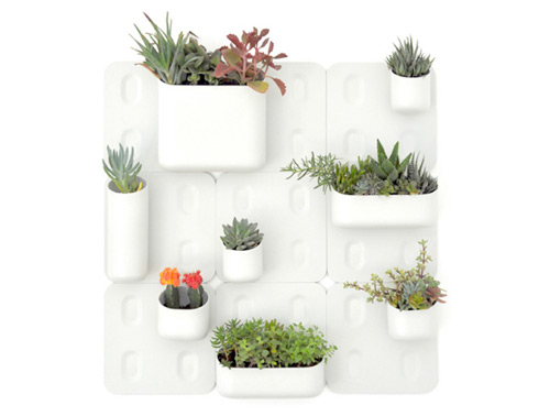 vit-multipel-vägg-blomma-låda-urbio