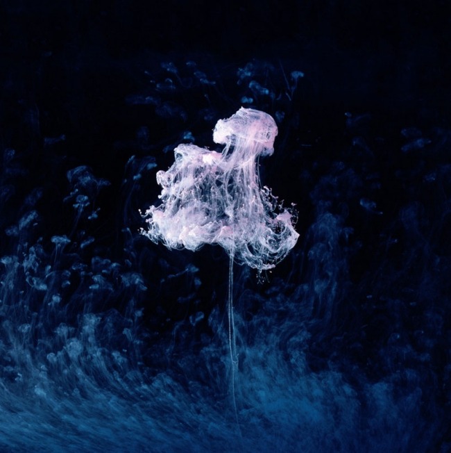 Fotoportfölj-Mark Mawson-vattenhaltiga maneter-färger Bläckvit