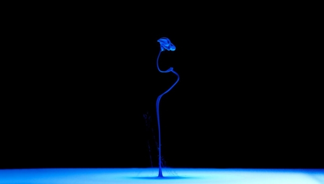 Mark Mawson-undervattens-konstfotografier-blå blommönster