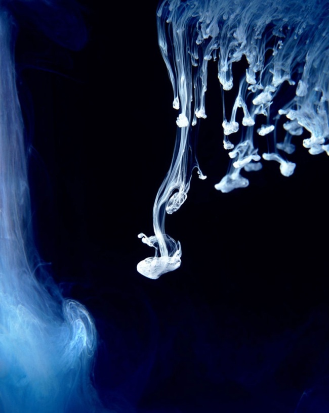 Bläcklekar undervattensbläck moderna fotografier konstidéer